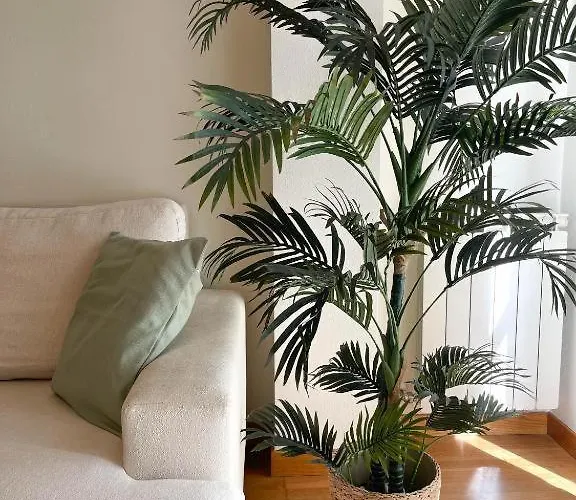 アパート Marchome *