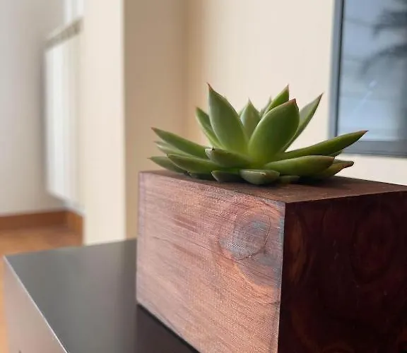 Marchome アパート